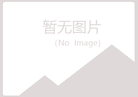 金山屯区迷茫会计有限公司